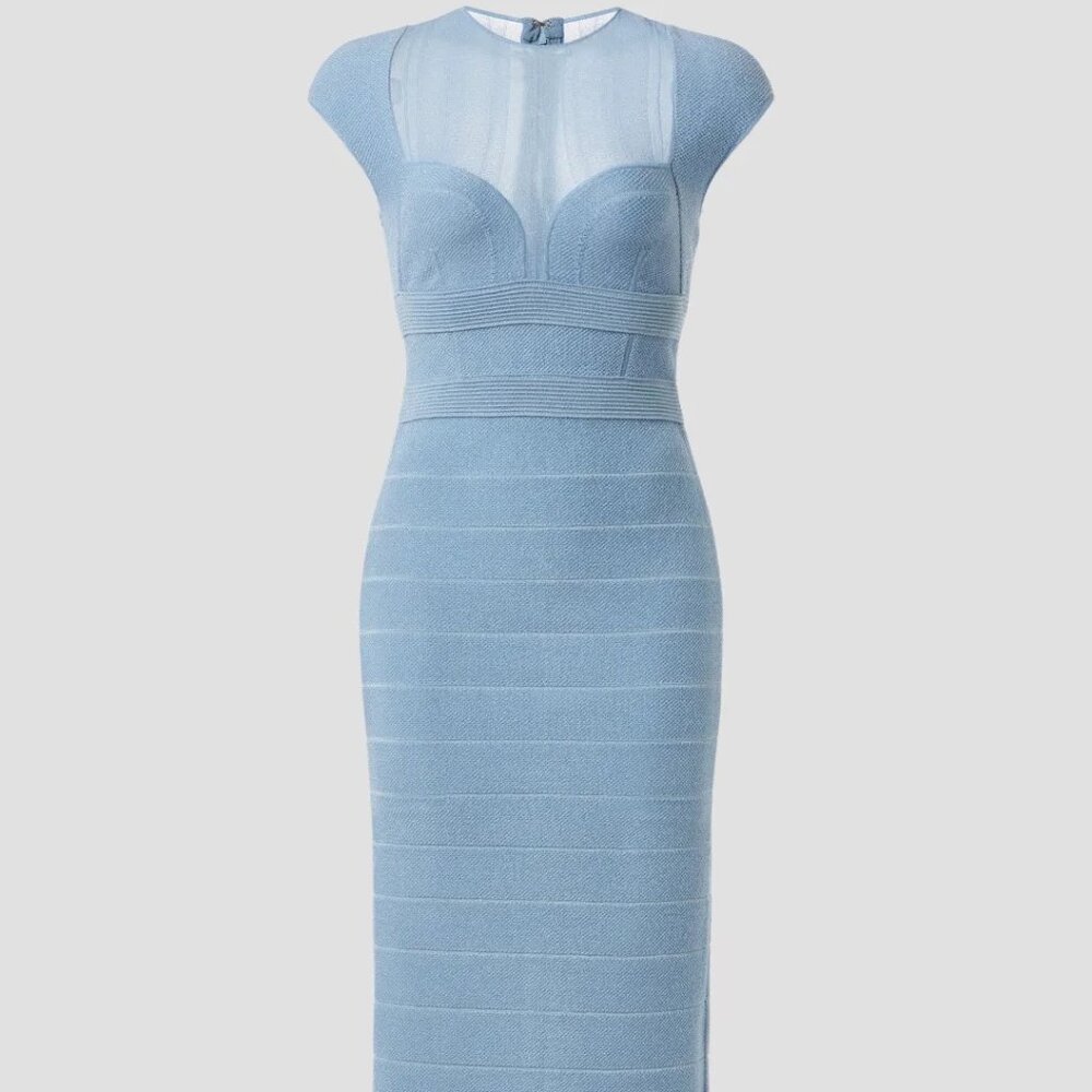Herve Leger Sheer Bustier Gown XS